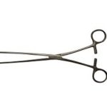 Clam Intestinal Teknosteel Doyen 23 Cm Curva